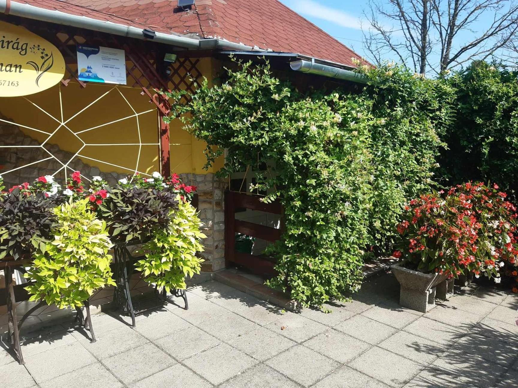 Gyoengyvirag Apartment Romhány Eksteriør bilde
